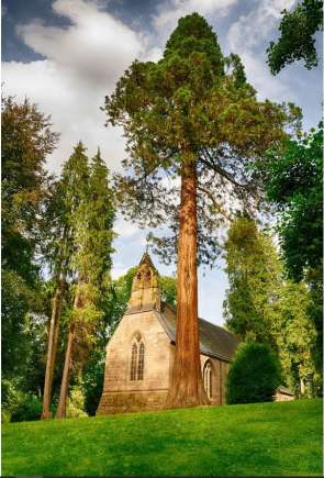 Holy Trinity Church, (English Church), Bad Wildbad near Wurtemburg (Werttemburg)